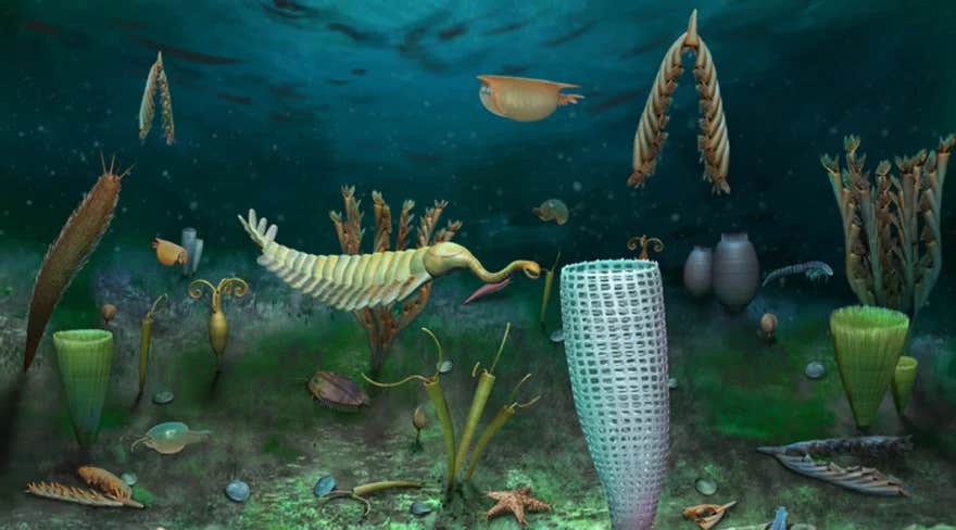 Their findings suggest that complex life may have begun as early as 2.1 billion years ago, much earlier than the previously accepted 635 million years.