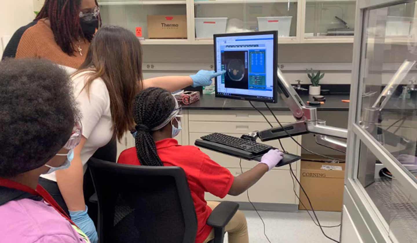 Middle school students in Chicago discovered a compound that inhibits melanoma and ovarian cancer growth