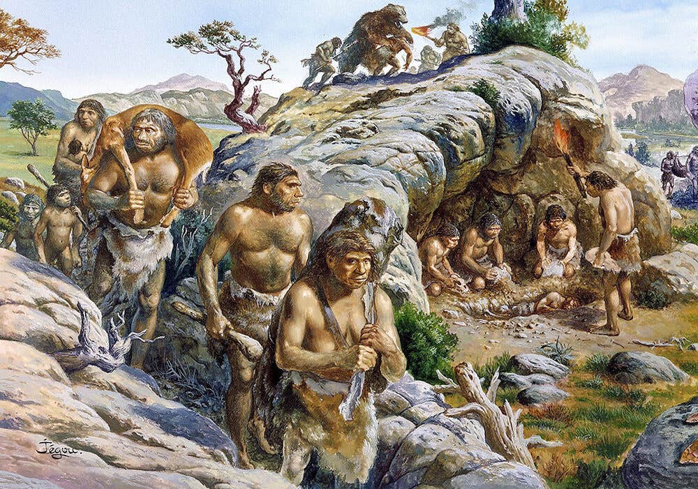 Fossils from Grăunceanu, Romania, reveal hominins migrated to Eurasia nearly 2 million years ago.