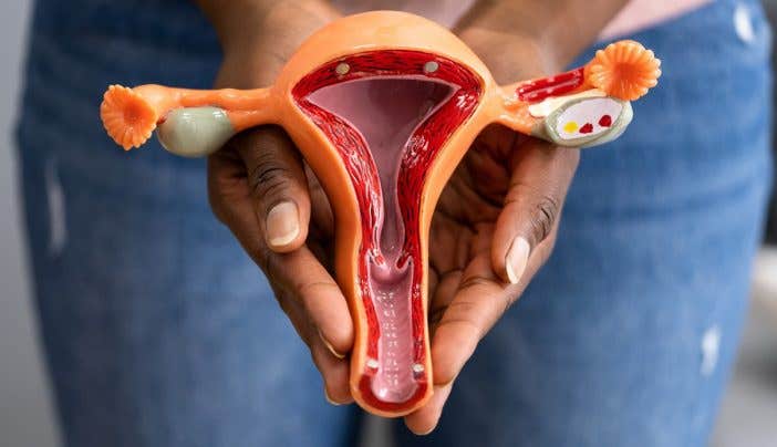 Discover how AI models surpass human experts in ovarian cancer diagnosis, improving accuracy and streamlining healthcare workflows in a global study.