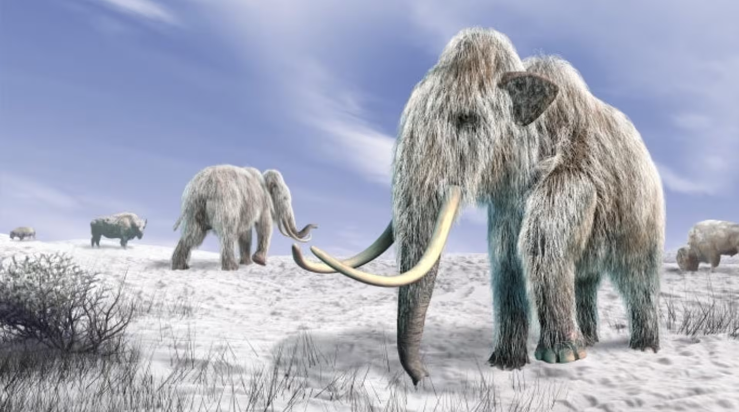 Ancient DNA reveals how cold-adapted species evolved—and what it means for survival in today’s warming world.
