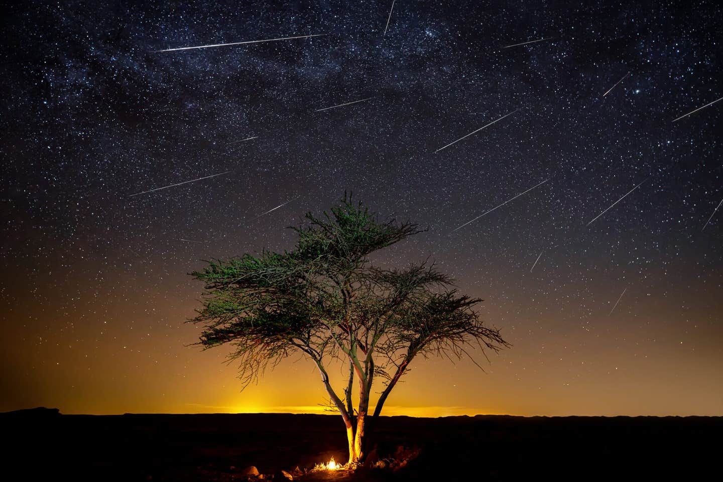 The Sun and Earth’s atmosphere destroy fragile, carbon-rich meteoroids before impact, hiding clues to life’s origins.