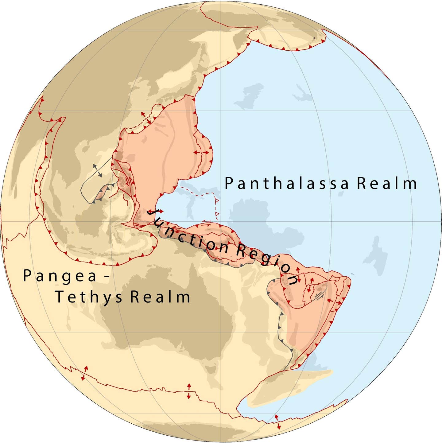 Map of the Pangea-Tethys and Panthalassa plate tectonic realms separated by the Juction Region. Present-day plate boundaries are red